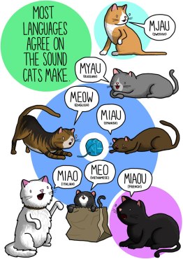 Cats sound